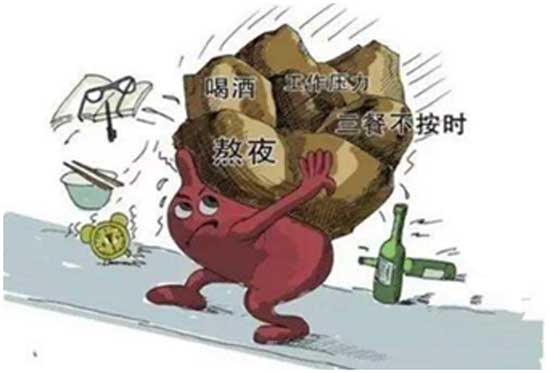全国爱肝日,来听河南省医药院肝病医生支招教你爱肝护肝