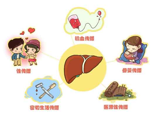 彭晓君:乙肝不神秘,也不可怕