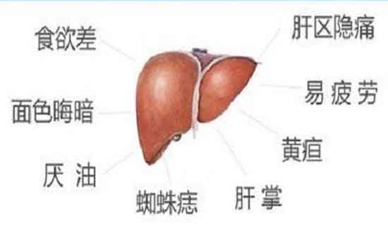 郑州哪个医院治肝病好